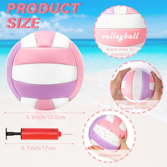 Size 2 Mini Volleyball 5.3 inch Small Beach Volleyball Soft Outdoor Indoor Volleyball Autograph Ball with Air Pump Volleyball Team Gifts for Kids Youth Team Collectors Sports Party(VERY SMALL)